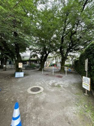 中野区立たんぽぽ公園の画像
