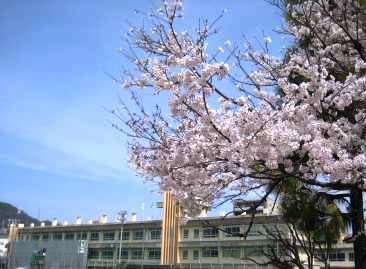 広島市立 三篠小学校の画像