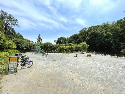 板橋区立赤塚溜池公園の画像