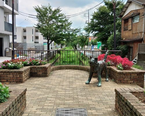 呑川親水公園の画像