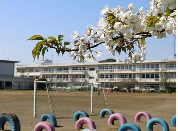 千葉市立生浜東小学校の画像