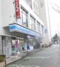 ローソン 新宿坂町店の画像