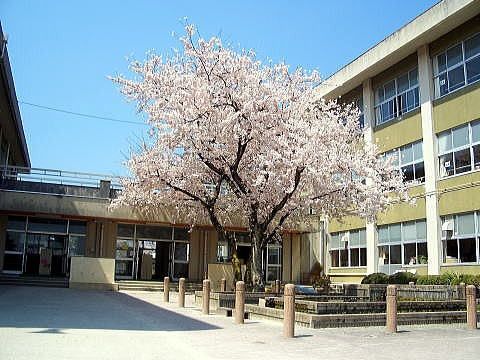 四日市市立保々小学校の画像