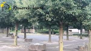 けやき通り公園の画像