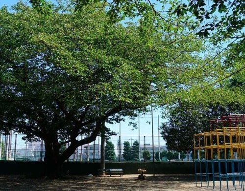 北朝霞公園の画像