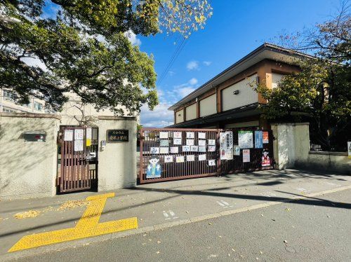 安井小学校の画像