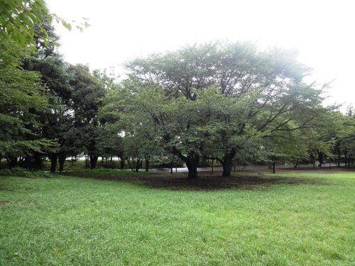 鶴間公園の画像