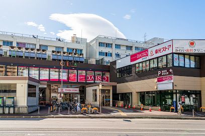 ザ・ダイソー DAISO セレスタ東区役所駅前店の画像