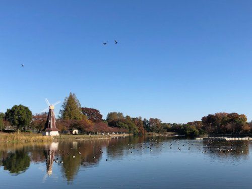 浮間公園の画像