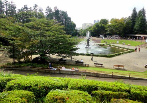 世田谷公園の画像