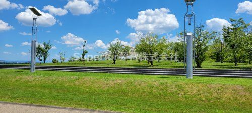 大津湖岸なぎさ公園の画像