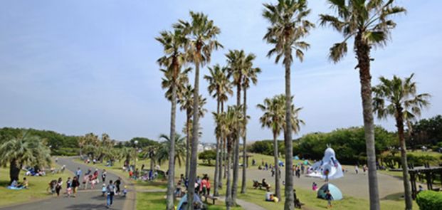 辻堂海浜公園の画像