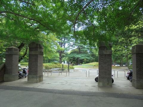 松戸中央公園の画像
