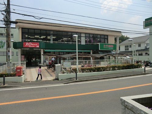 スーパー生鮮館TAIGA(タイガ) 岡津店の画像