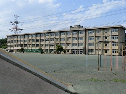 綾南小学校の画像