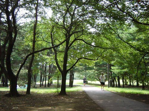 和光樹林公園の画像