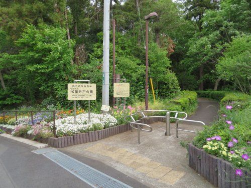 松葉公園の画像