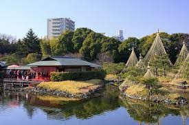 白鳥公園の画像