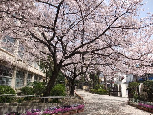 尼崎市立園田中学校の画像