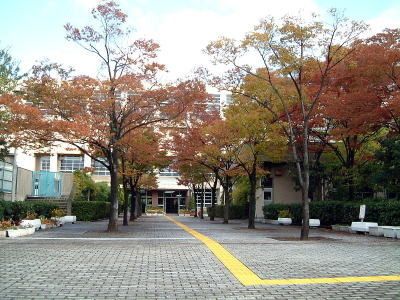 尼崎市立武庫の里小学校の画像