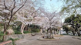 人丸山公園の画像