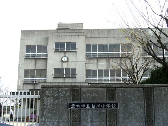 茨木市立白川小学校の画像