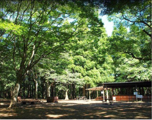 昭和の森フォレストビレッジの画像