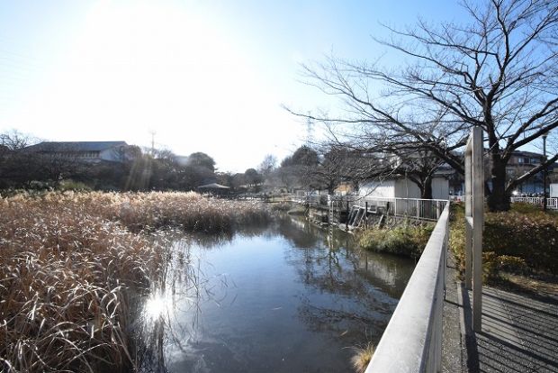 岸根公園の画像