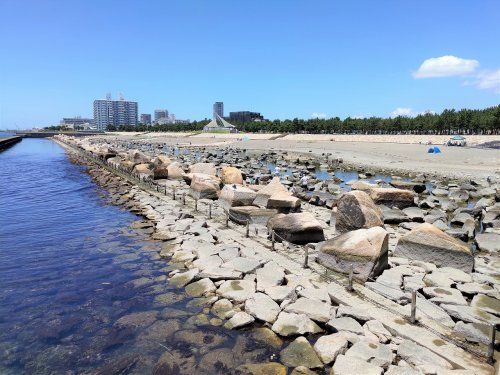 大蔵海岸公園の画像