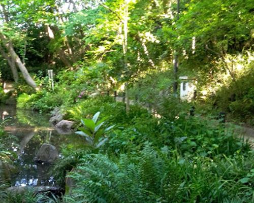 おとめ山公園の湧水（東京の名湧水57選）の画像