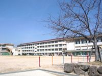西宮市立鳴尾東小学校の画像