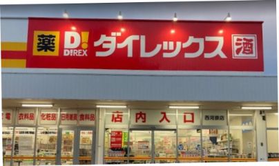 ダイレックス　西河原店の画像