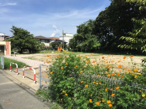 二子山児童公園の画像