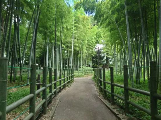 すずめのお宿緑地公園の画像