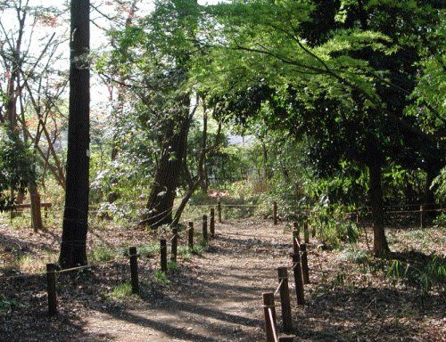 野川緑地公園の画像