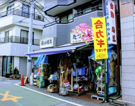 たつみ屋商店の画像