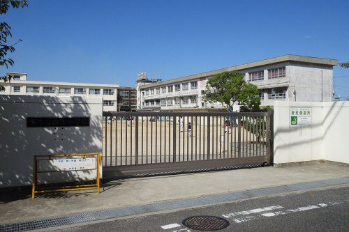 堺市立向丘小学校の画像