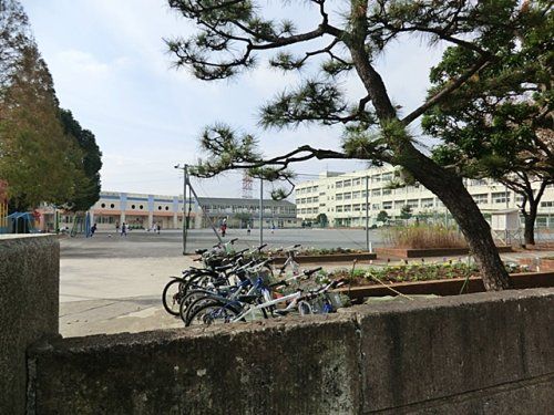 横浜市立東希望が丘小学校の画像