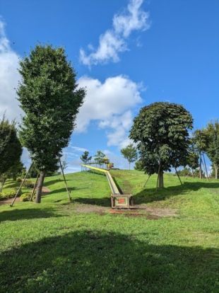 東伏見公園の画像