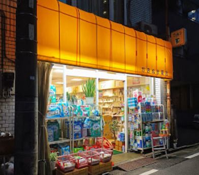 柿沼薬店の画像