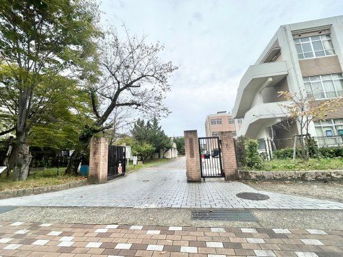 京都市立藤森中学校の画像