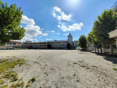 市川市立平田小学校の画像