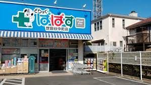 どらっぐぱぱす 世田谷中町店の画像