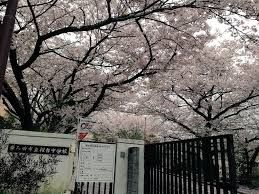 岸和田市立桜台中学校の画像