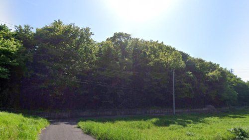 桜木町緑地の画像