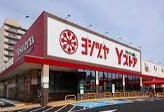 ヨシヅヤ Yストア笹塚食品館の画像