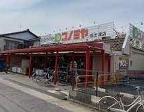 コノミヤ 日比津店の画像