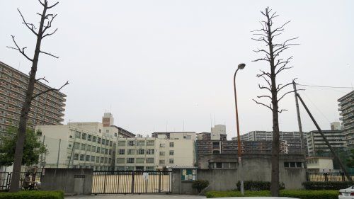 新豊崎中学校の画像