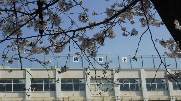 大田区立開桜小学校の画像