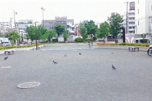 富士見川公園の画像